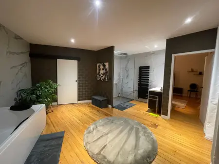 Appartement 200m² bourgeois moderne, centre Épinal : photo 26