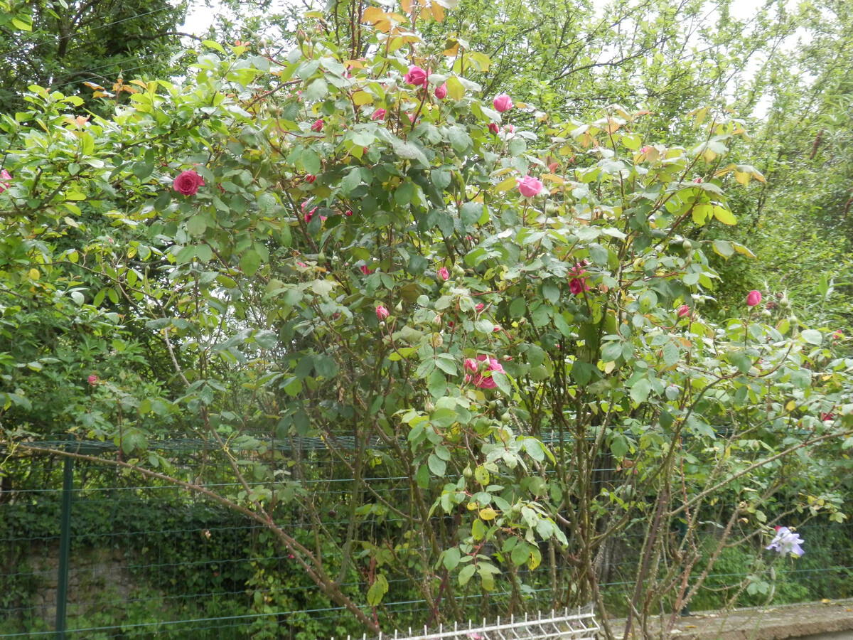 Fermette avec jardin clos à Gournay, près du lac d'Eguzon - Photo 24