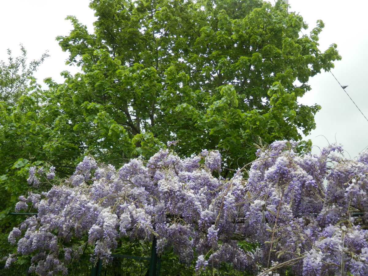 Fermette avec jardin clos à Gournay, près du lac d'Eguzon - Photo 25