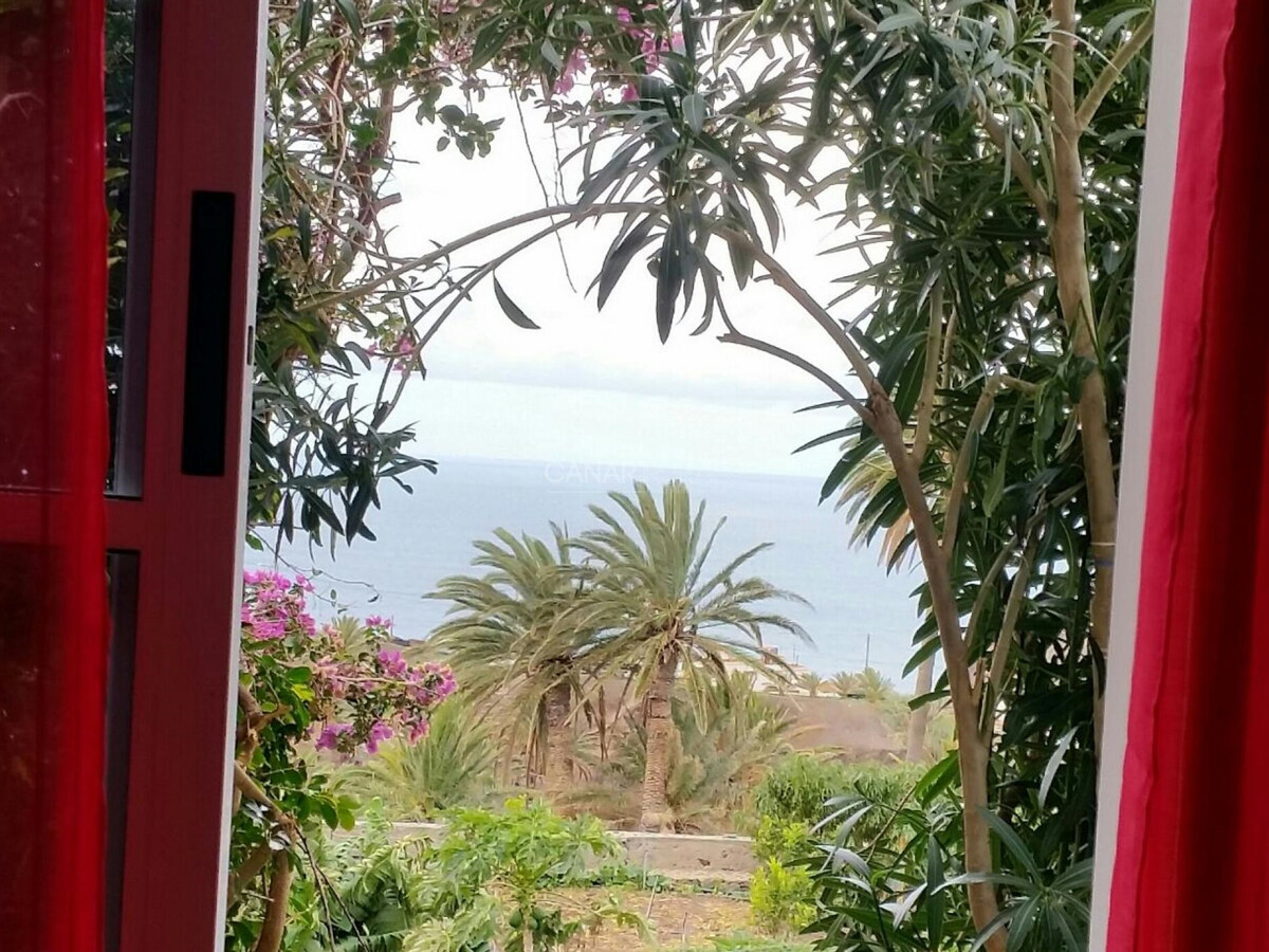 Appartement Clary à Alojera : terrasse, jardin et vue sur La Palma - Photo 21
