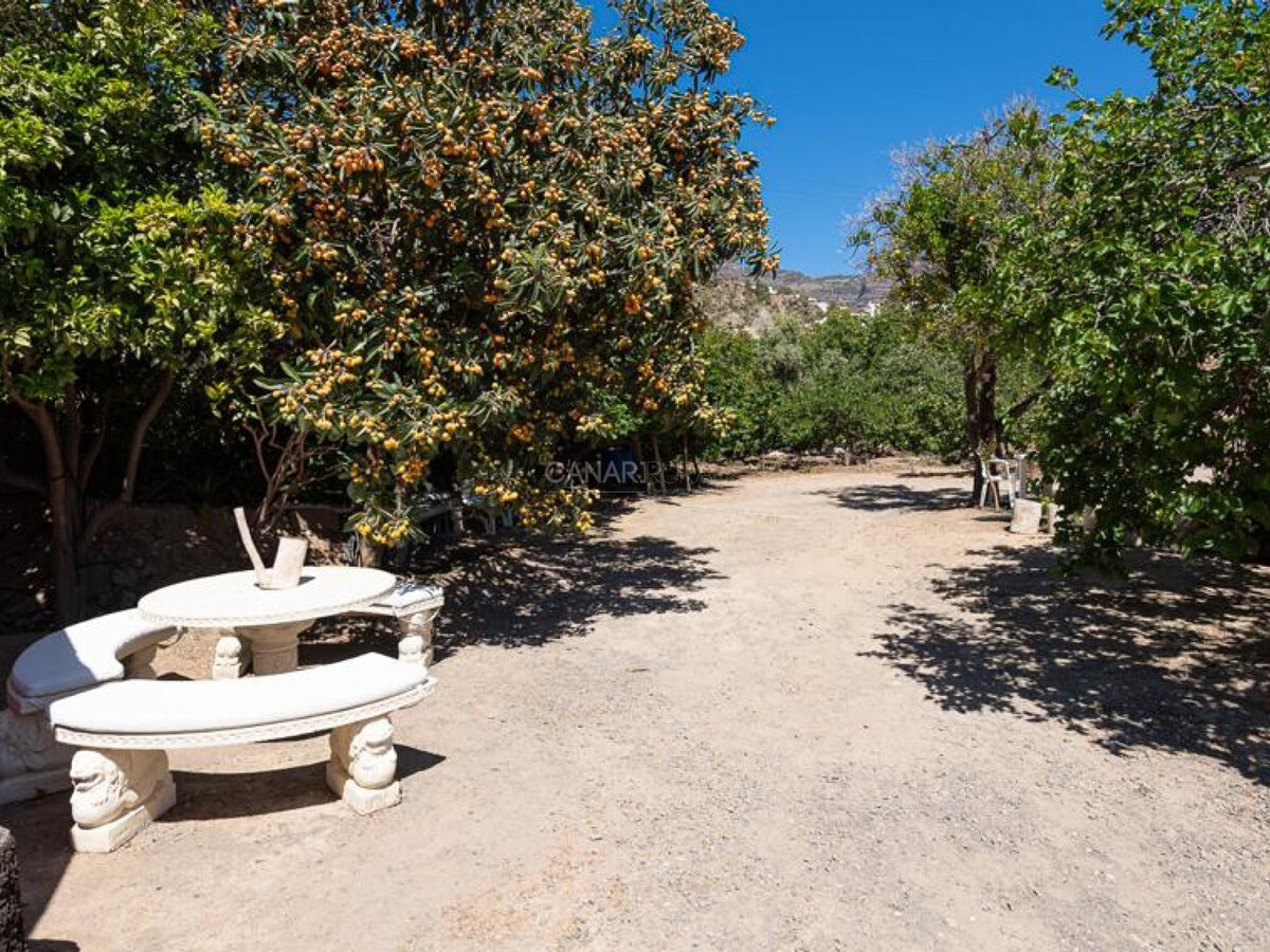 Maison rurale avec piscine privée à San Bartolomé de Tirajana - Photo 13