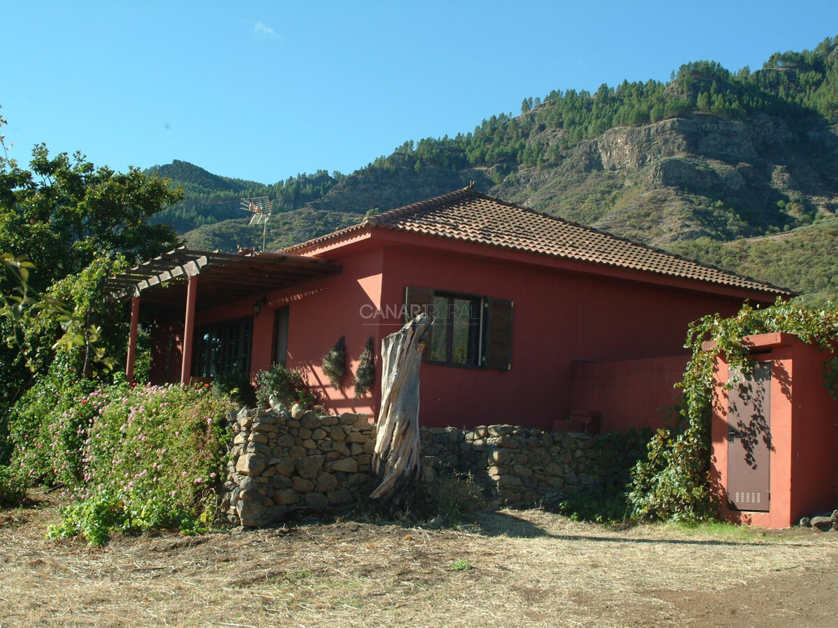 Gîte El Pedregal à Valsequillo, piscine privée - Photo 13