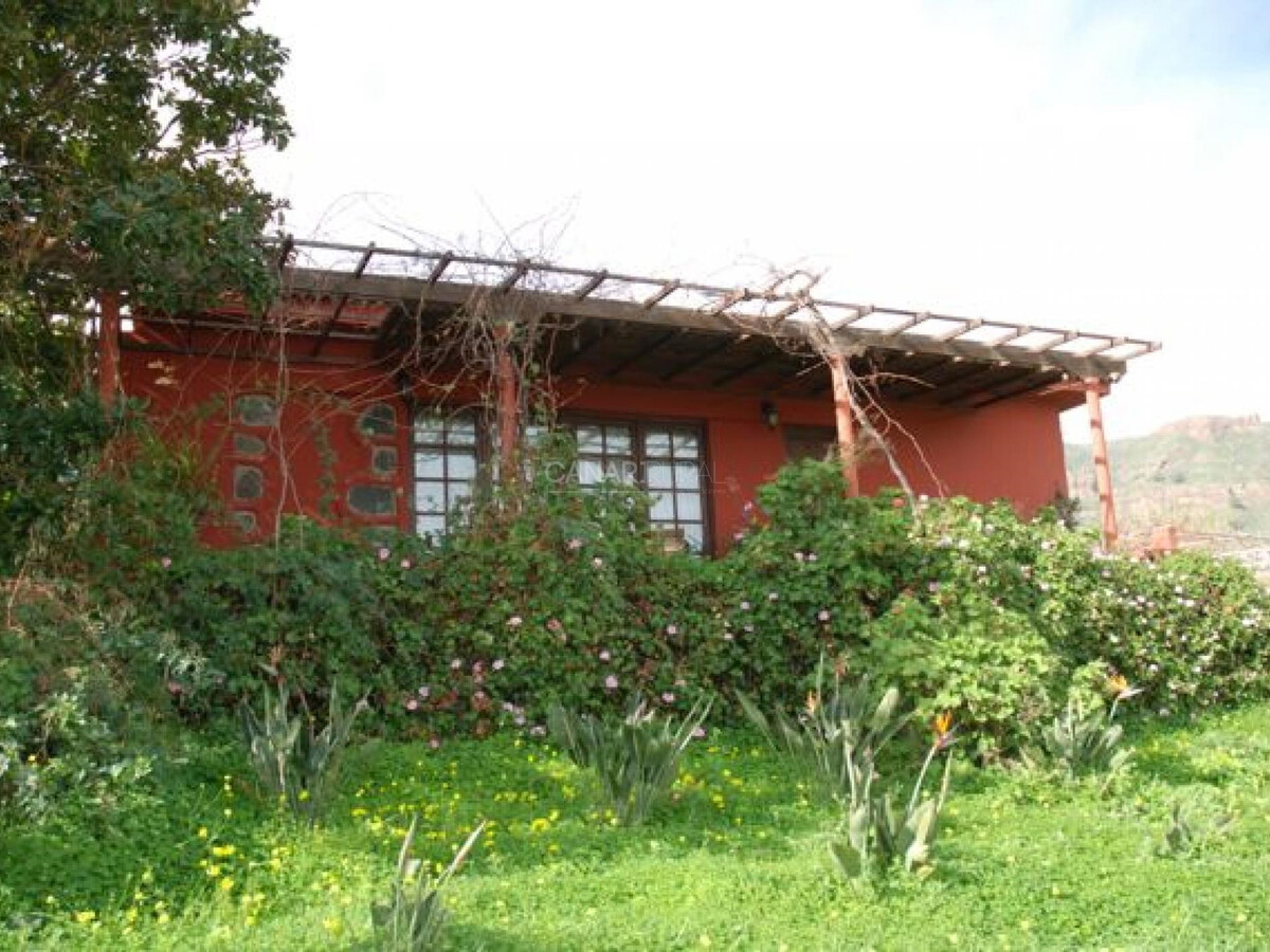 Gîte El Pedregal à Valsequillo, piscine privée - Photo 16