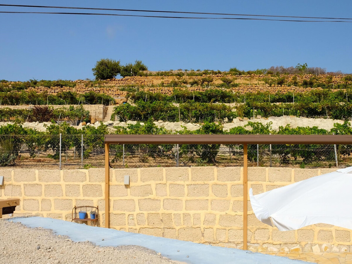 Appartement Arico : piscine chauffée sur vignoble - Photo 18