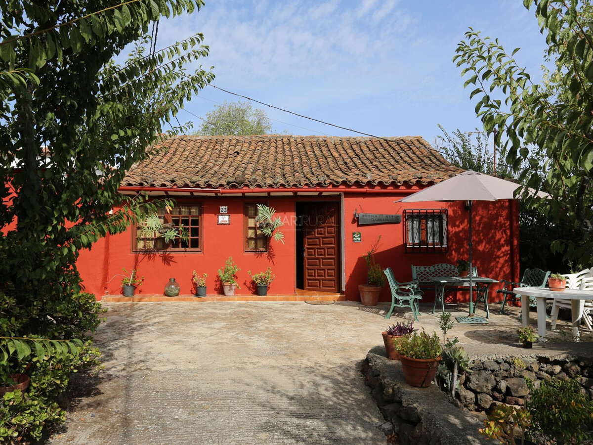 Gîte La Asomada à Vega de San Mateo, randonnées - Photo 1