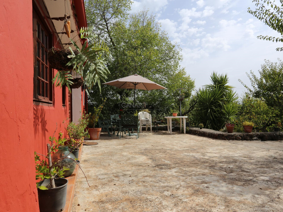 Gîte La Asomada à Vega de San Mateo, randonnées - Photo 2