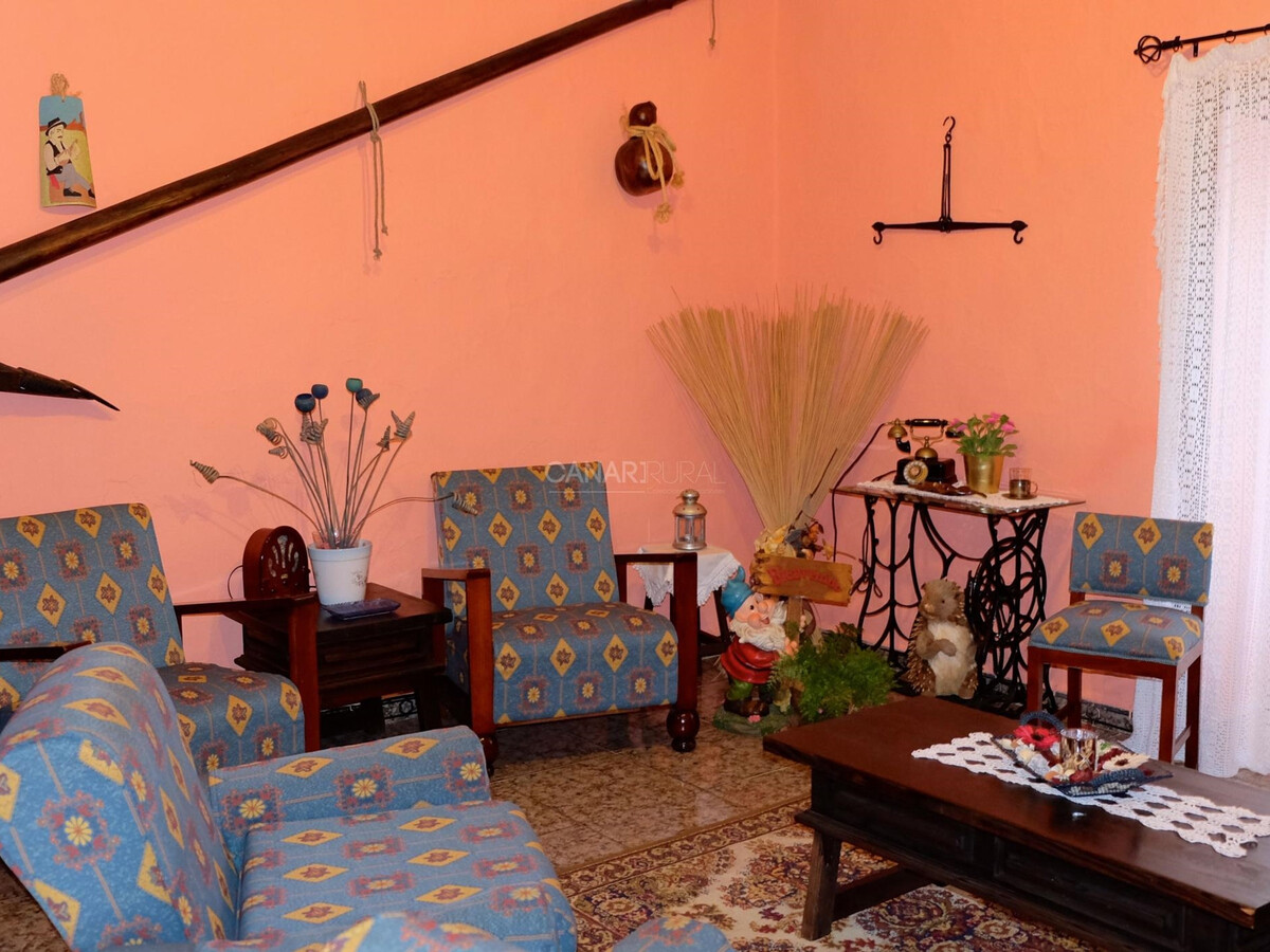 Gîte La Asomada à Vega de San Mateo, randonnées - Photo 5