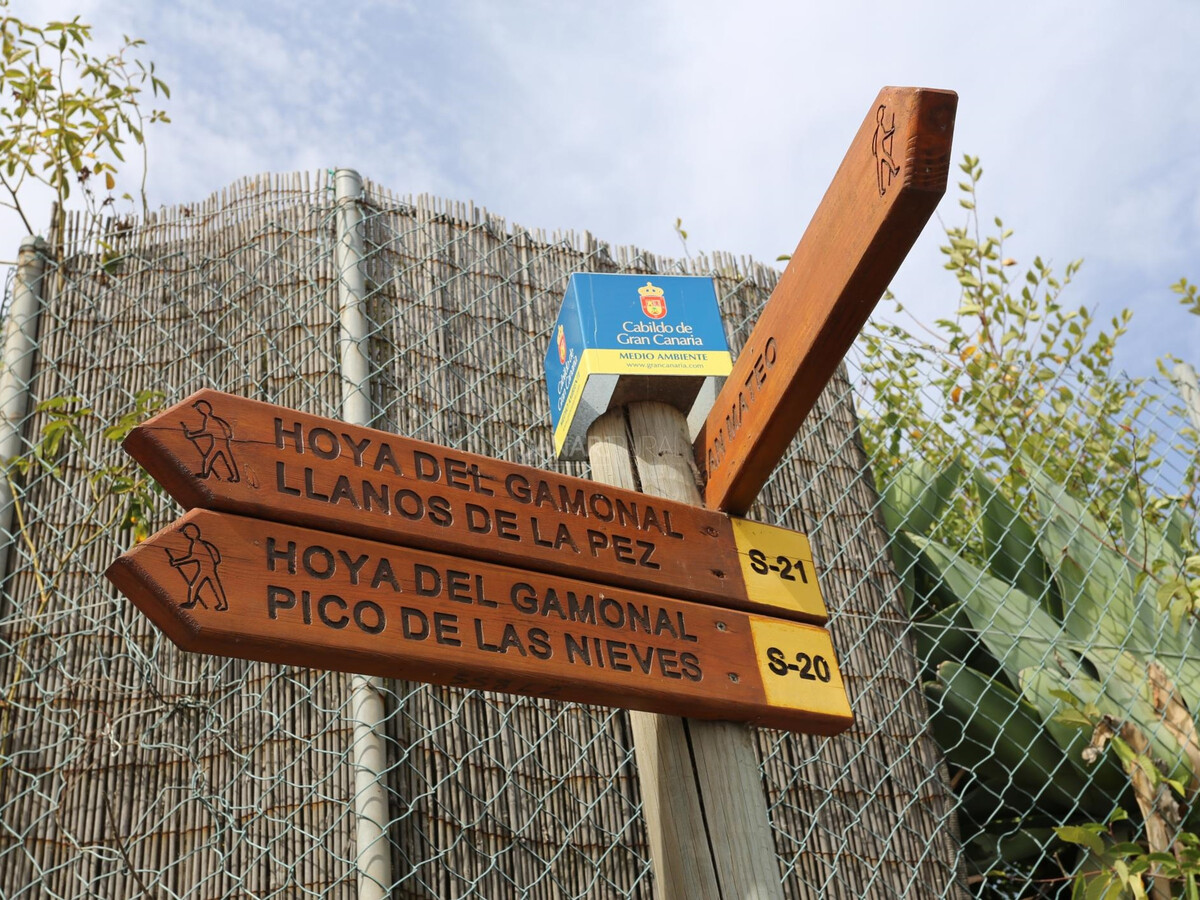 Gîte La Asomada à Vega de San Mateo, randonnées - Photo 19