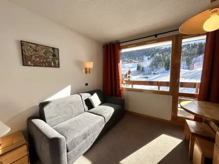 Studio skis aux pieds, balcon sud, animaux admis : photo 4