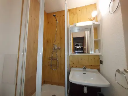 Studio skis aux pieds, balcon sud, animaux admis : photo 10