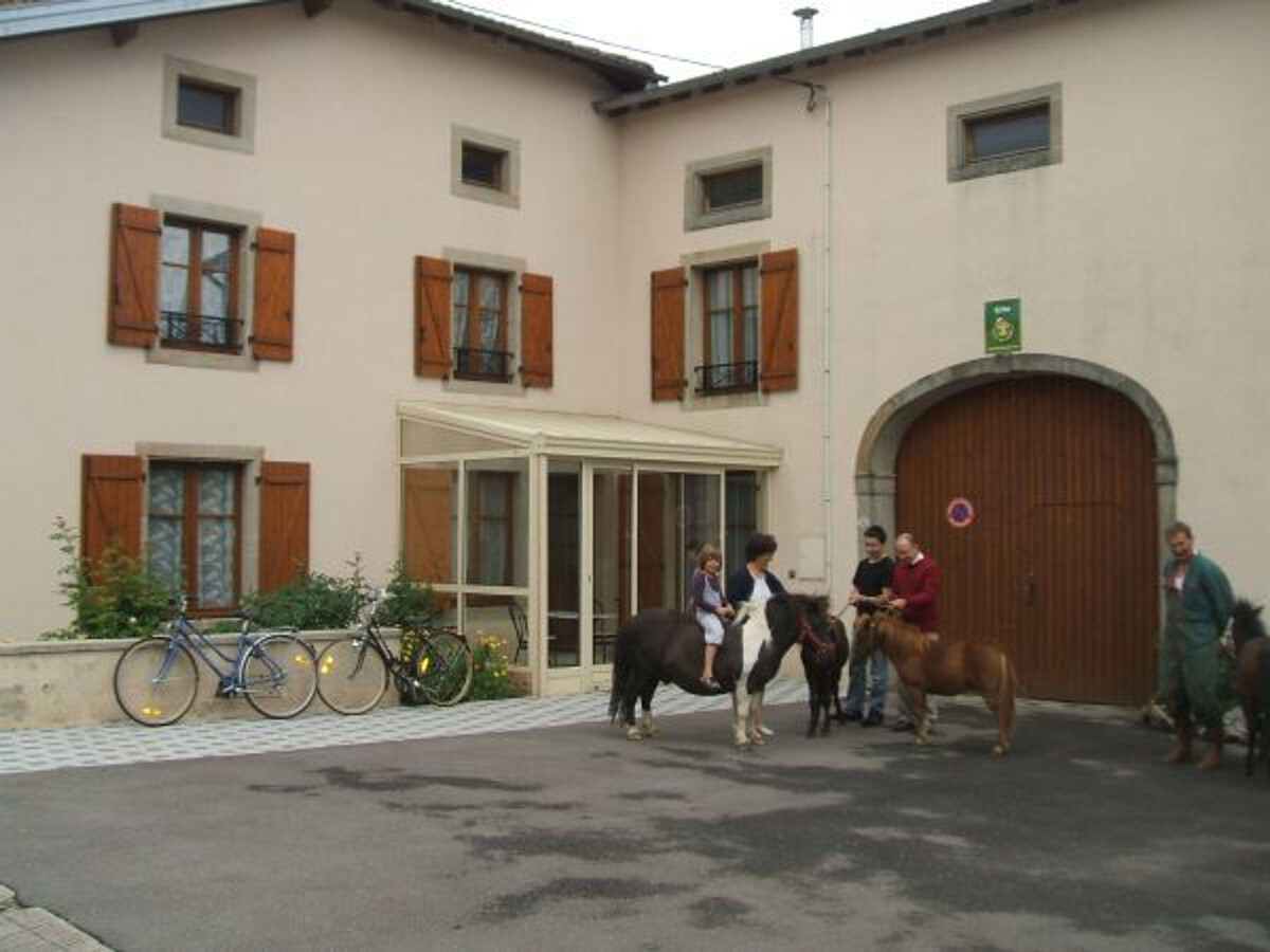 Gîte ferme vosgienne avec cheminée, étang et poneys - Photo 12