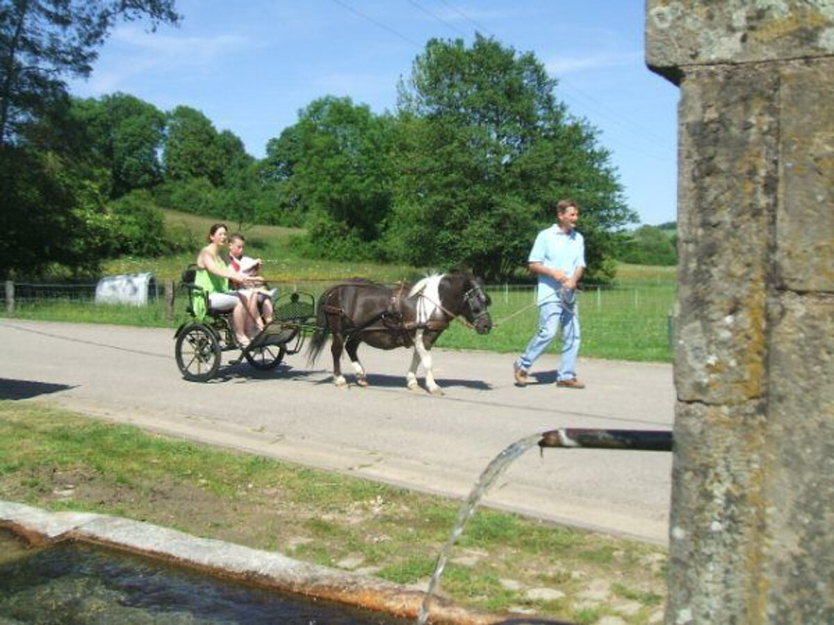 Gîte ferme vosgienne avec cheminée, étang et poneys - Photo 18