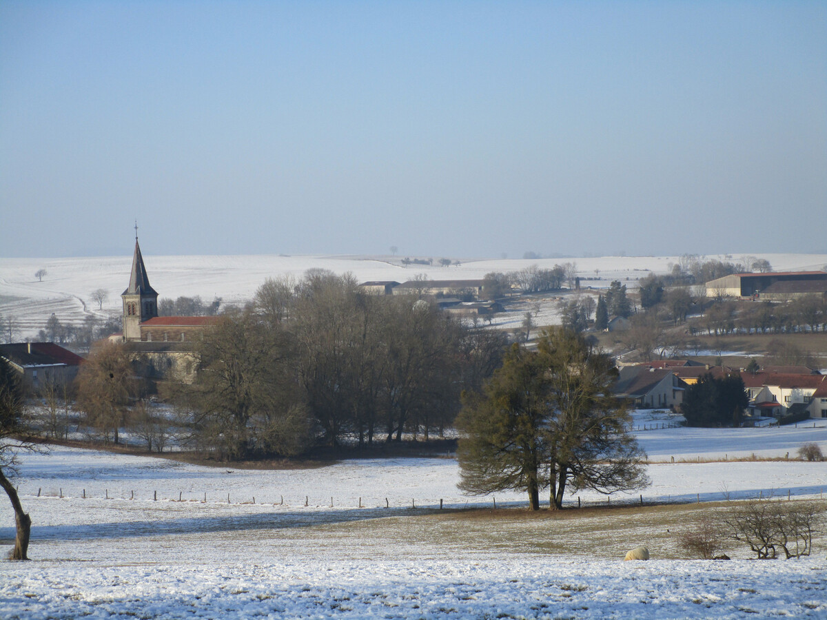 Gîte ferme vosgienne avec cheminée, étang et poneys - Photo 24