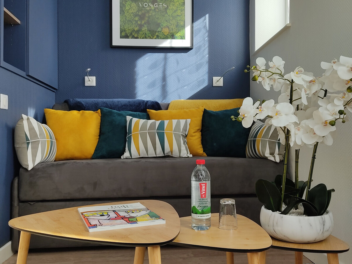 Appartement 4* rénové face au parc thermal à Vittel - Photo 3