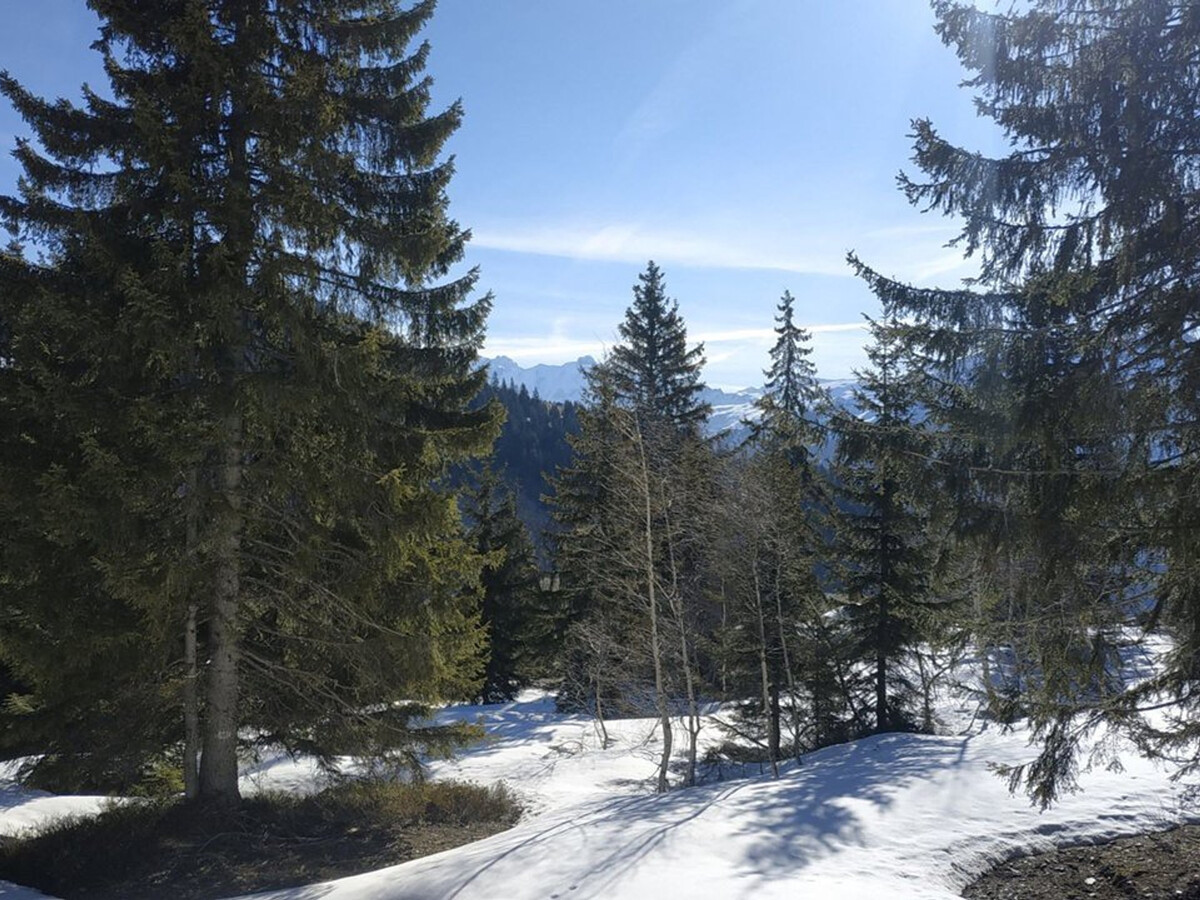 Appartement 7 pers. aux Saisies, baignoire balnéo, skis aux pieds - Photo 17