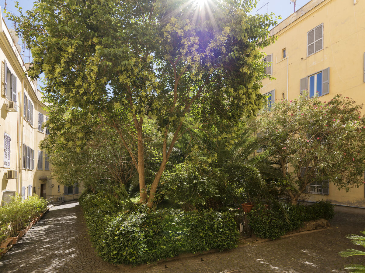 Appartement Marsicum avec jardin – San Lorenzo, Rome - Photo 19