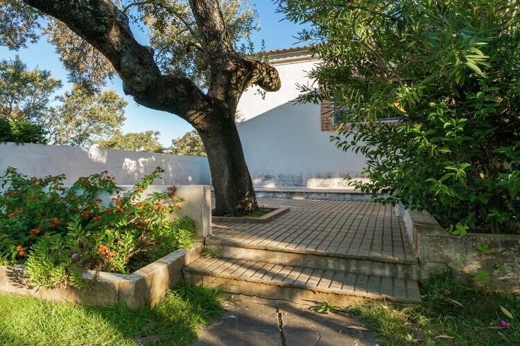 La Serena – Maison 6 pers. sur 300 hectares - Photo 30