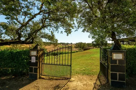 Malvarrosa, Maison de vacances à Tajo avec piscine et forêt - Photo 28