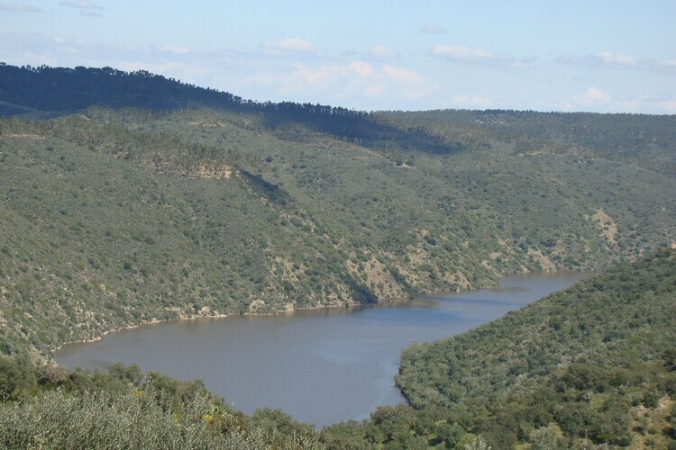 La Galana, maison 8 personnes sur domaine de 300 hectares - Photo 37