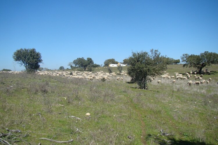 La Galana, maison 8 personnes sur domaine de 300 hectares - Photo 38