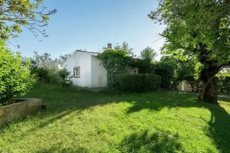 La Galana, maison 8 personnes sur domaine de 300 hectares : photo 30