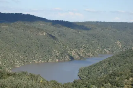 La Galana, maison 8 personnes sur domaine de 300 hectares : photo 37