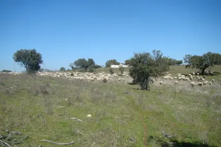 La Galana, maison 8 personnes sur domaine de 300 hectares : photo 38