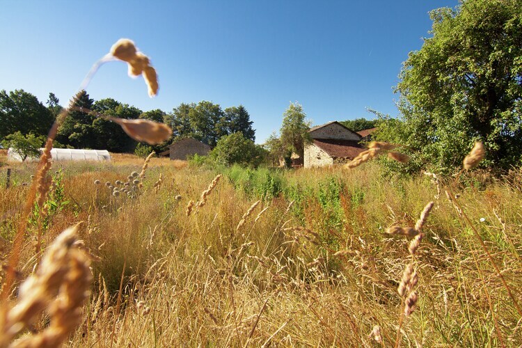 La Marguerite – Gîte 6 pers. avec piscine partagée - Photo 31