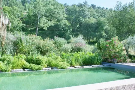 Casa Mimosa, Maison à Covas près de Serra da Estrela - Photo 4