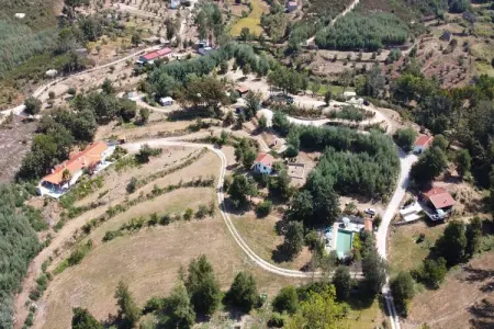 Casa Mimosa, Maison à Covas près de Serra da Estrela - Photo 18