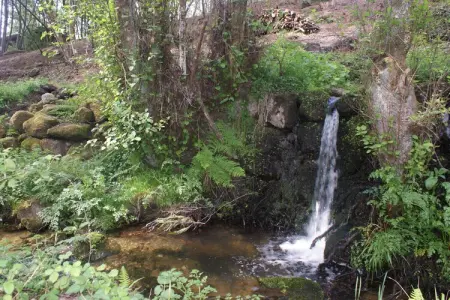 Casa Mimosa, Maison à Covas près de Serra da Estrela - Photo 19