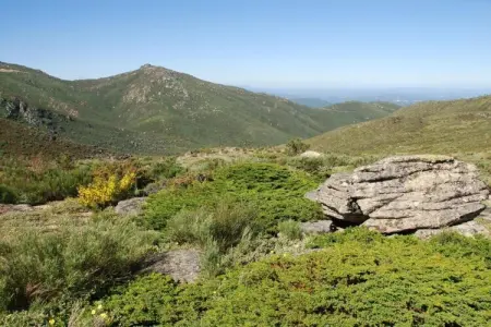 Casa Mimosa, Maison à Covas près de Serra da Estrela - Photo 23