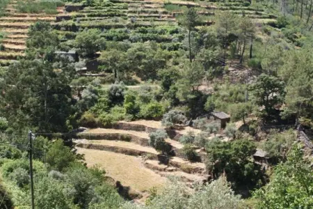 Casa Mimosa, Maison à Covas près de Serra da Estrela - Photo 30