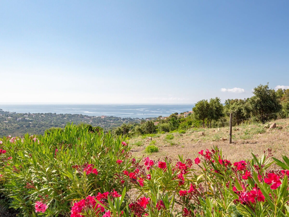 Apt 2 pièces Les Issambres, terrasse sud et vue mer - Photo 22