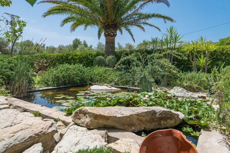 Casa Angela - Villa 4 chambres avec piscine à Capdepera - Photo 35
