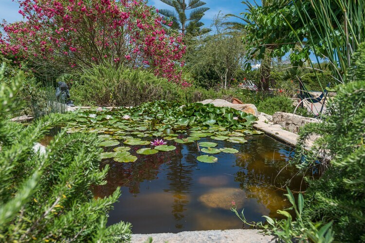 Casa Angela - Villa 4 chambres avec piscine à Capdepera - Photo 36