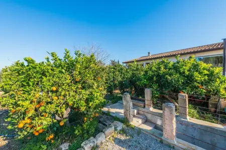 Villa Es Serral - Piscine d'eau salée à Sa Pobla : photo 39