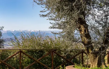 Maison 10 personnes à Morrovalle - Photo 20