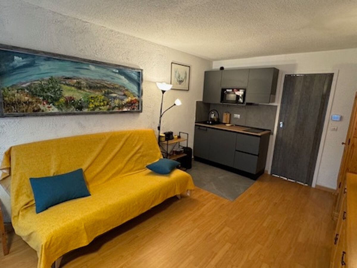 Studio 26m² proche pistes, parking et animaux - Photo 3