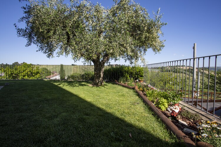 Moncaro, maison avec piscine aux portes des vignobles - Photo 35