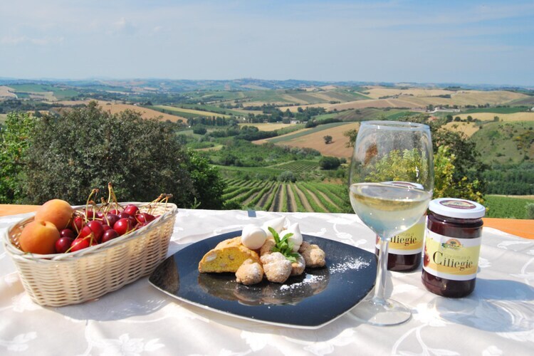Moncaro, maison avec piscine aux portes des vignobles - Photo 40
