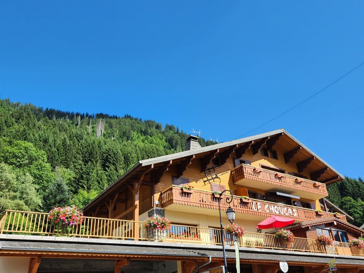 Appartement Châtel 400 m télécabine, 4 pers, parking - Photo 10
