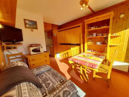 Studio 17 m² avec balcon et casier à skis à Plan Peisey : photo 2