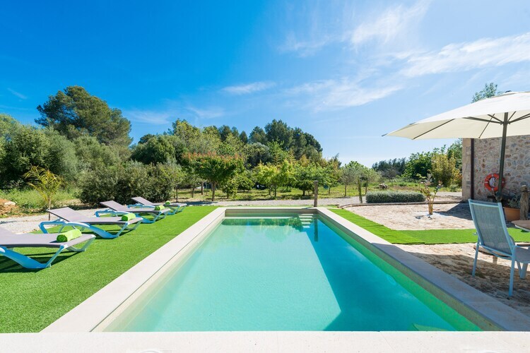 Villa Son Ferragut - Piscine d'eau salée à Sa Pobla - Photo 9