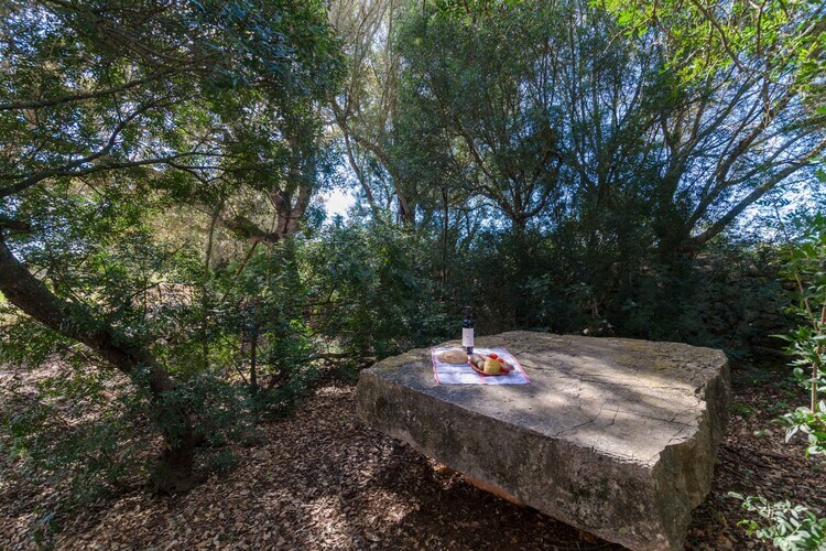 Villa Son JuliÀ avec piscine privée à Porreres - Photo 33
