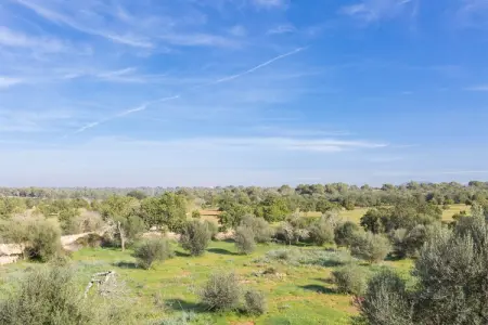 Villa Ca Na Carme – Piscine d'eau salée à Campos : photo 32