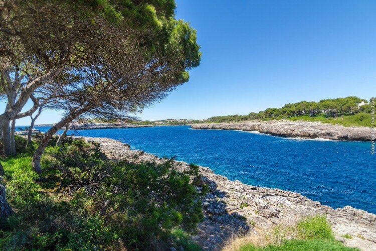 Ca Na Martina – Villa 8 pers. piscine à Cala d'Or - Photo 32