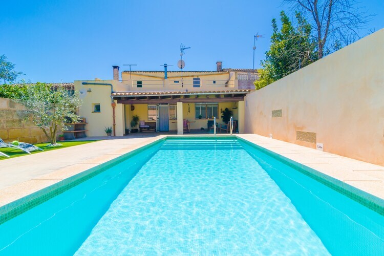 Villa Ca Ses Nines : piscine d'eau salée à Ariany - Photo 8
