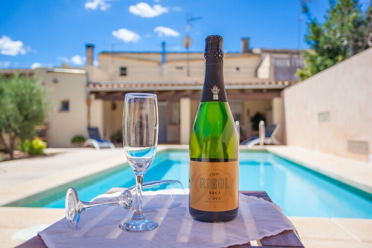 Villa Ca Ses Nines : piscine d'eau salée à Ariany - Photo 27