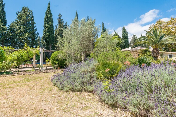 Villa Ca Na Sioneta à Campanet, piscine et courts - Photo 48